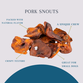 Platinum Pet Treats - Pork Snouts (Pack of 10)