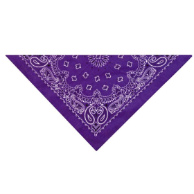 TP Paisley Bandana DkPur