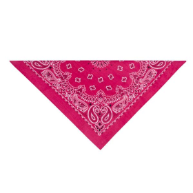 TP Paisley Bandana Pnk