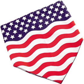 TP 4th of July Stars & Stripes Bandana