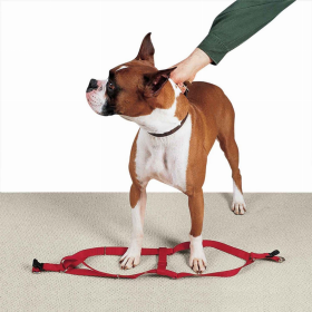 CC Nylon 2 Step Harness 9-15In Red