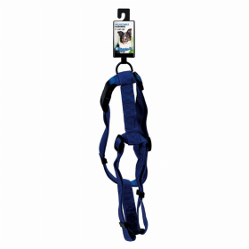 DGR 1in Adjustable Harness Blue