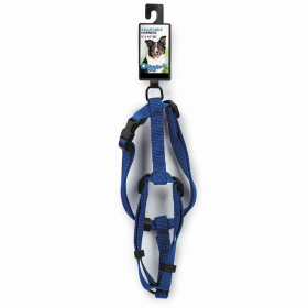 DGR 5/8in Adjustable Harness Blue