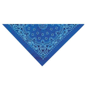 TP Paisley Bandana Dk Blu