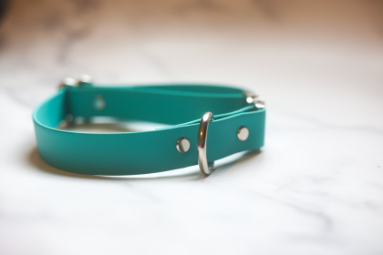 Biothane Quick Release Collar (Color: Teal, size: Large 16-21 inches)