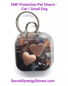 EMF 5G protection Pet Charm Cat/Sml Dog with Split Ring (Color: 2 Hearts - Split Ring, size: 1 ounce)