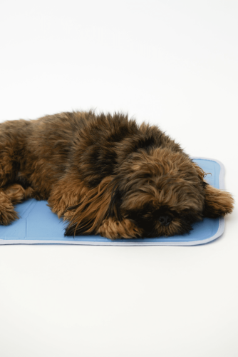 Cool Pet Pad Cool Pet Pad