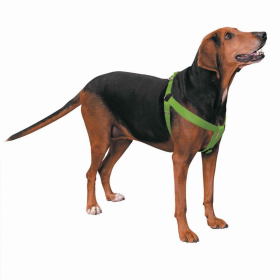 CC Nylon 2 Step Harness 9-15In Grn (Color: Light Green, size: 9-15in)