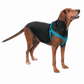 CC Nylon 2 Step Harness 9-15In Blu (Color: Turqouise, size: 9-15in)