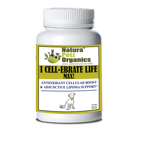I Cellebrate Life Max - Antioxidant Cellular Boost + Adjunctive Lipoma Support* I Cellebrate Life Max - Antioxidant Cellular Boost + Adjunctive Lipoma Support*