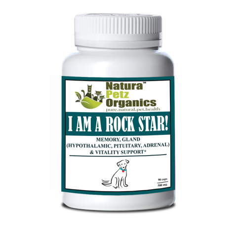 I Am A Rock Star - Memory, Gland (Hypothalamic, Pituitary And Adrenal) & Vitality Support* I Am A Rock Star - Memory, Gland (Hypothalamic, Pituitary And Adrenal) & Vitality Support*