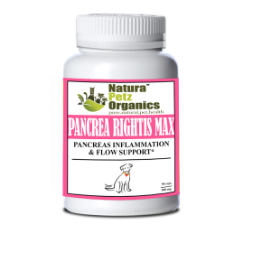 Pancrea Rightis Max Support* Capsules Pancreas Inflammation & Flow Support Dogs Cats* (size: DOG - 90 caps / 500 mg)