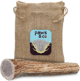 Whole Antler Chew (size: medium)