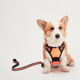 Mr. Peanut's PetTrek Reflective Pet Harness With Matching Leash (Color: Orange, size: Xsmall)