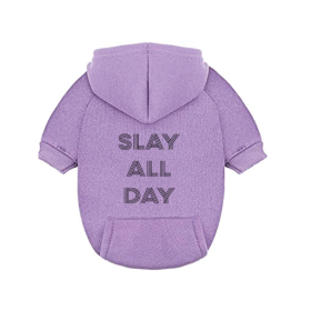 Slay All Day Dog Hoodie (size: X-Small)