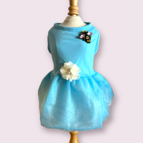 A Lovely Spring Dress (size: X Small)