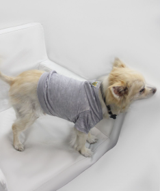 Doggy Hoodie (Color: Asphalt, size: large)